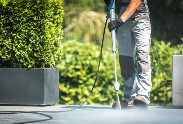 Best Building Exterior Washing  in Stottville, NY